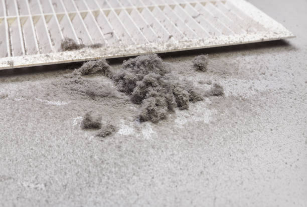 Air Duct Mold Removal in IL