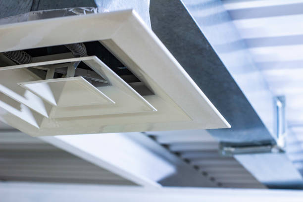 Best HVAC Air Duct Cleaning  in Johnston City, IL