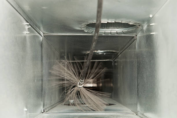 Best Air Duct Mold Removal  in Johnston City, IL
