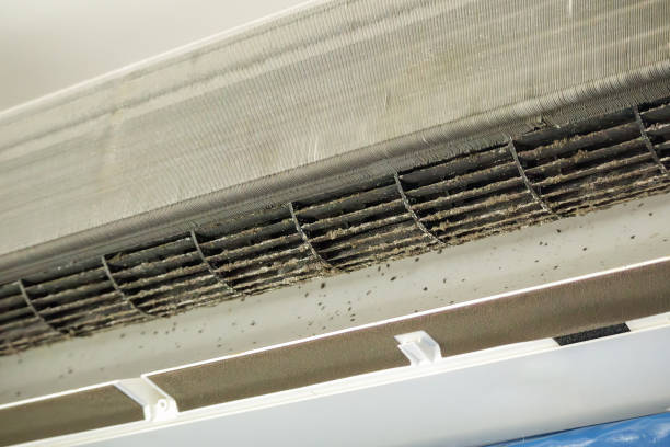 Best Affordable Air Duct Cleaning  in Johnston City, IL