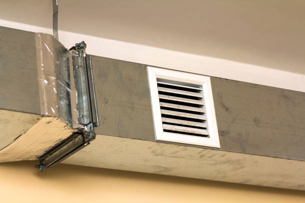 Best Dryer Vent Cleaning Services  in Johnston City, IL